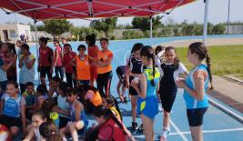 Fiche technique  Du championnat d'Algérie Open