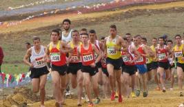 Fiche technique du cross d'ouverture 