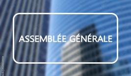 Mandatement à l'assemblée générale extraordinaire 