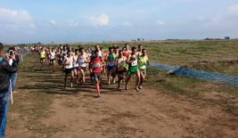 Règlement technique du Championnat de Wilaya de Cross-country