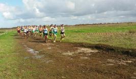 Liste des athlètes qualifiés au championnat d'Algérie de Cross-Country
